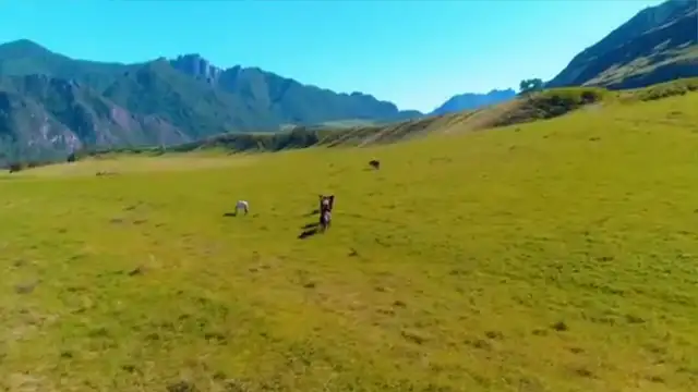 Nature - Behold A Pale Horse (Instr)🎵