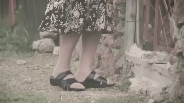 The nature of our reality