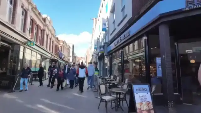 Nature - My Life Story🦁