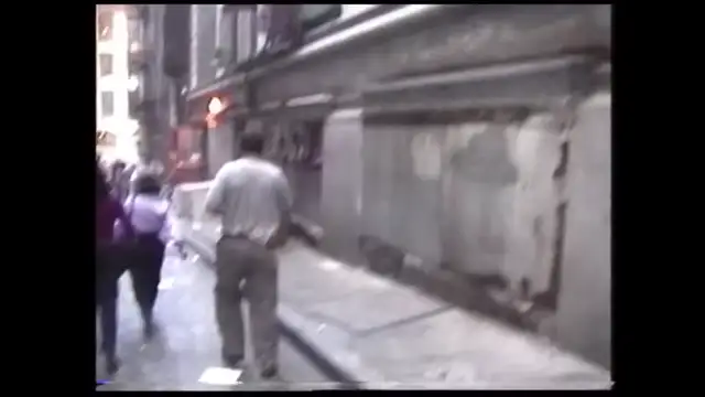 New Video of the 9/11 Attack Just Released