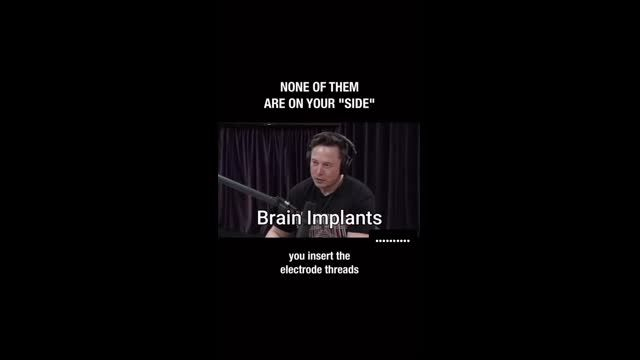 none of them are on your side