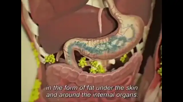 Fasting Cures Everything