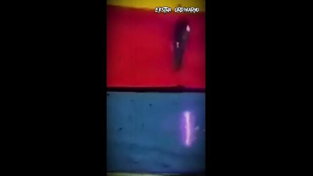 Paint it blue to avoid the dew