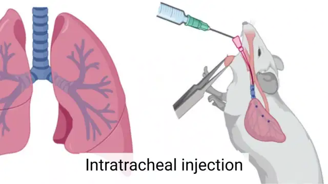 Air-Dropped mRNA Vaccines - Fact or Fiction Dr Sam Bailey