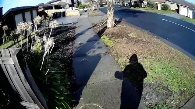 This is what its like when youre on a government watch list