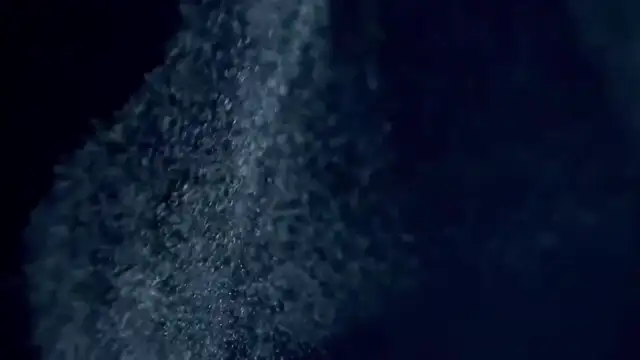 Parasite PANIC - Dr Sam Bailey