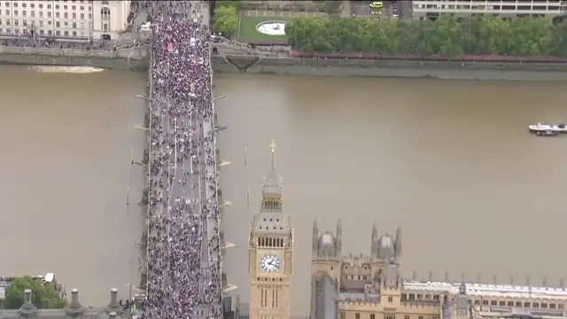 Have You Seen Our House?😁😺