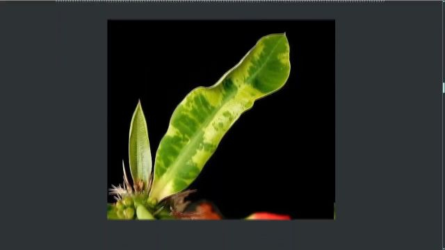 Fraud Prevention Hotline - No Virus #32