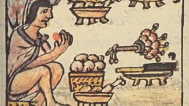 Monkey Business - Polio, the Measles, and How It All Began