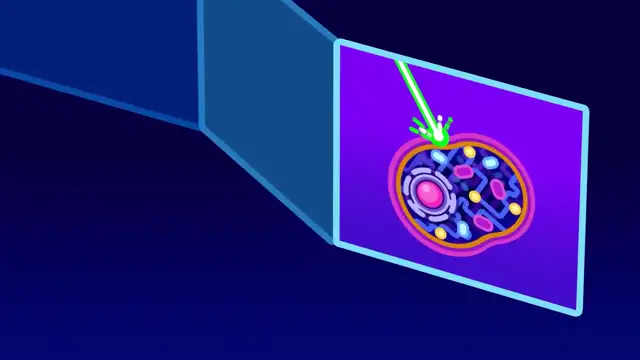 SuperbuggG🎵 Quantum 3500