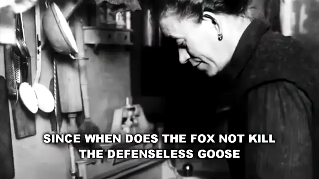 Adolf Hitlers Last Speech - January 30th 1945