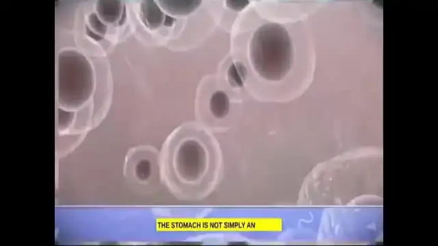 …masonic lecture on energy manipulation,  magnets, radium lies, water & health?