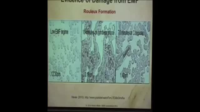 Cell Damage from EMF