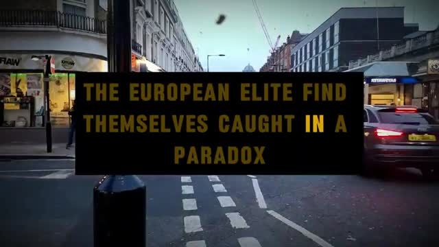 The European Elite in Shock — Eva Vlaardingerbroek Tells All