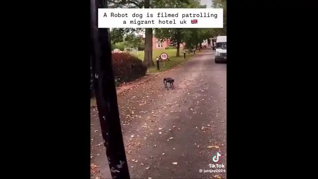 Robot dogs now patrol immigrant hotels.