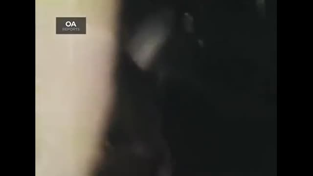 Saudi Arabia 1960s Slave Trade