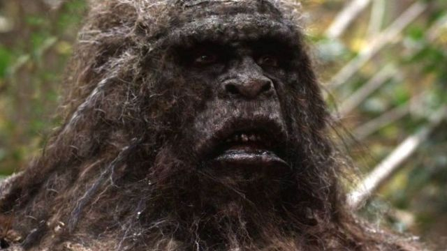 Bigfoot Discovered: Truth or Fantasy
