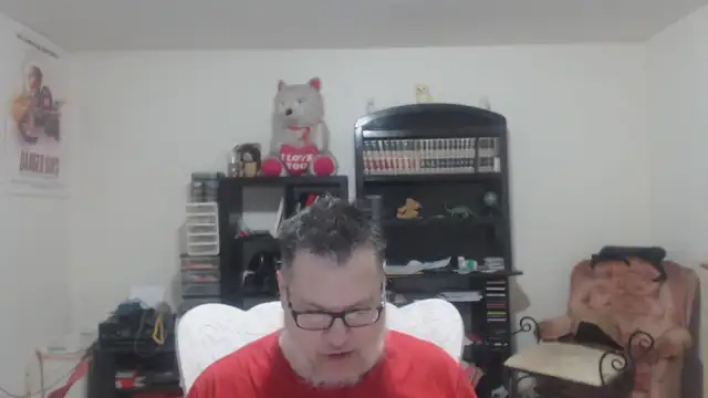 Men Going Their Own Way (MGTOW)