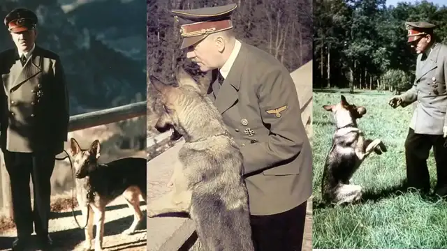 Why Hitler Wasnt Evil