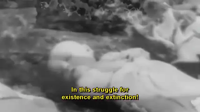 The Jew Wanted This War - Adolf Hitler Speech
